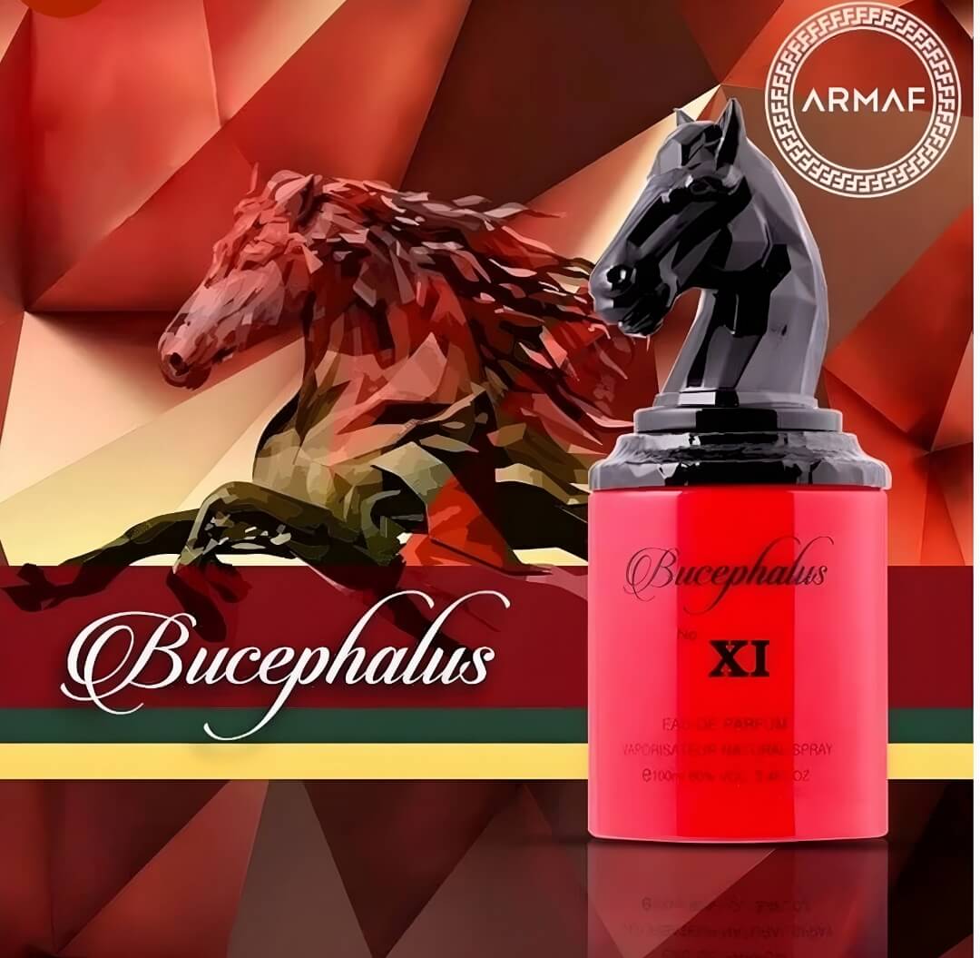BUCEPHALUS NO XI EAU DE PERFUME BY ARMAF 69