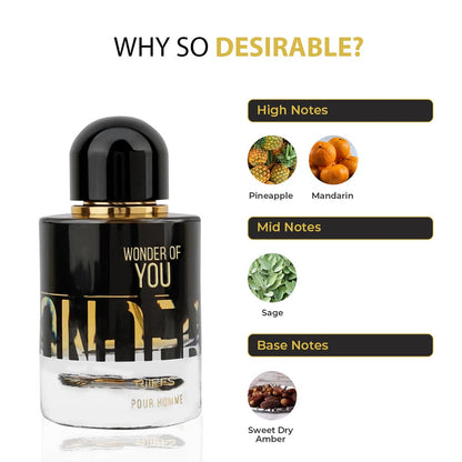 WONDER OF YOU ( POUR HOMME ) ( 100ML ) Perfume By RiiFFS
