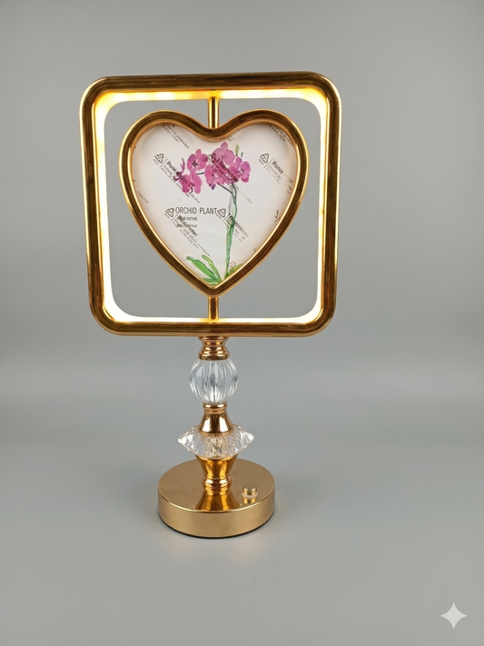 LED Light Photo Frame LF13